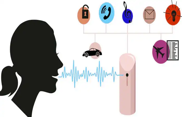 Audio Data Collection