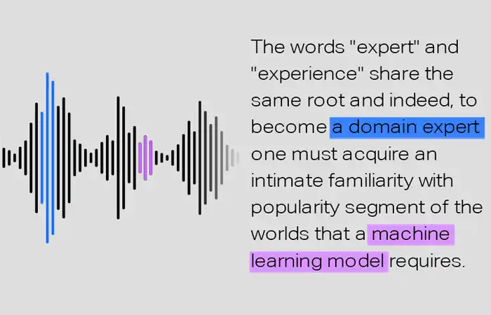 Audio Transcription​