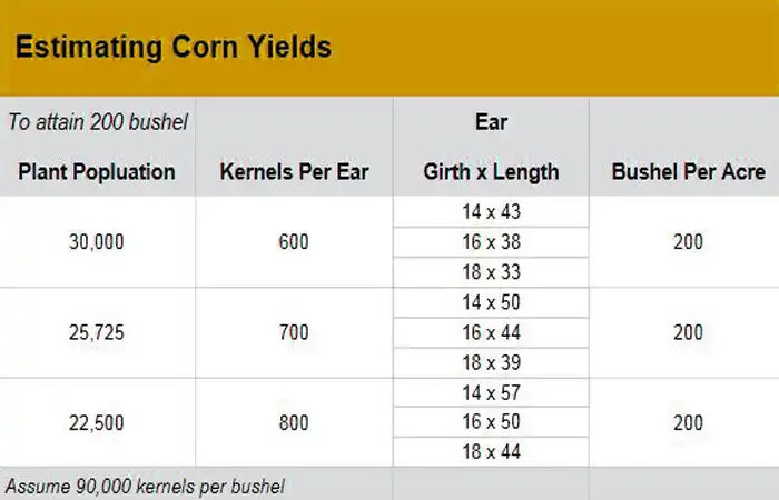 Corn Yield Estimation
