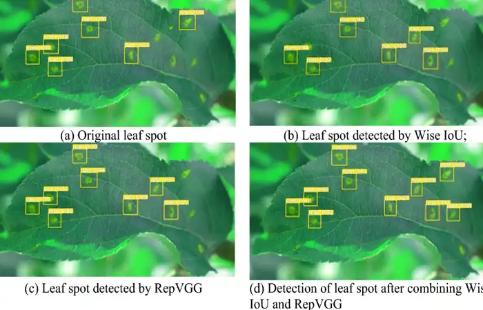 Crop Health Monitoring