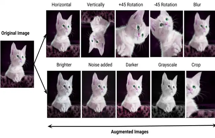 Data Augmentation