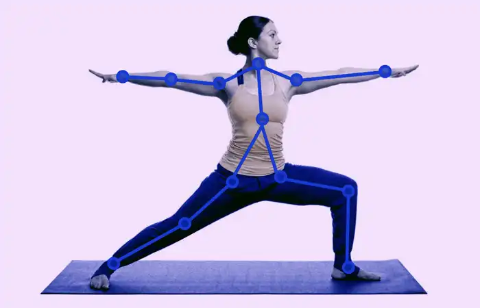 Human Pose Estimation​