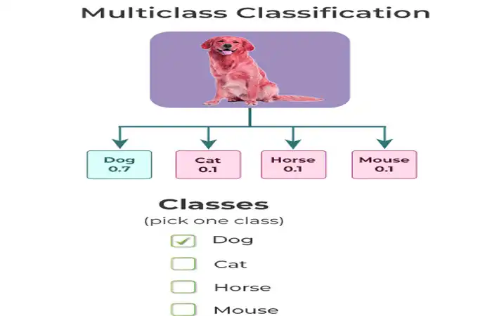 Multi-Class Classification