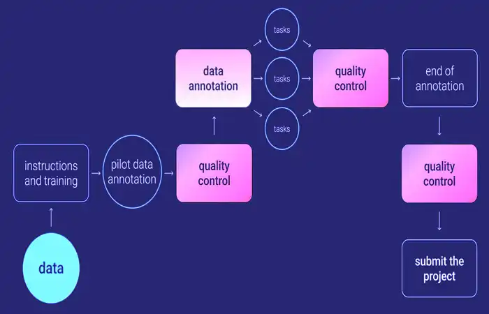 Quality Data Labeling