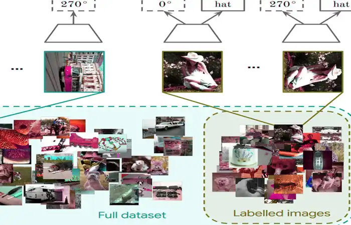 Semi-Supervised Classification