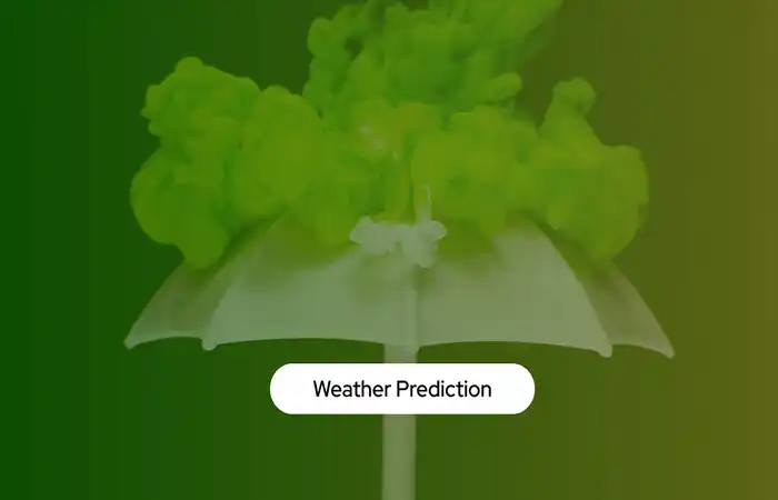 Weather Impact Assessment​