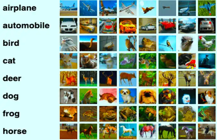 Image Classification