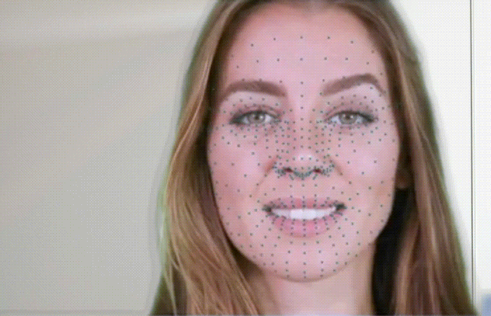 Facial Landmark Annotation
